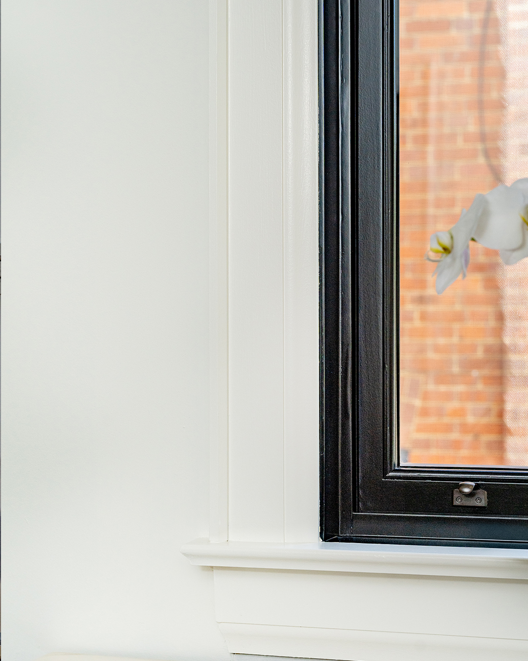 black single hung metal clad windows - corner